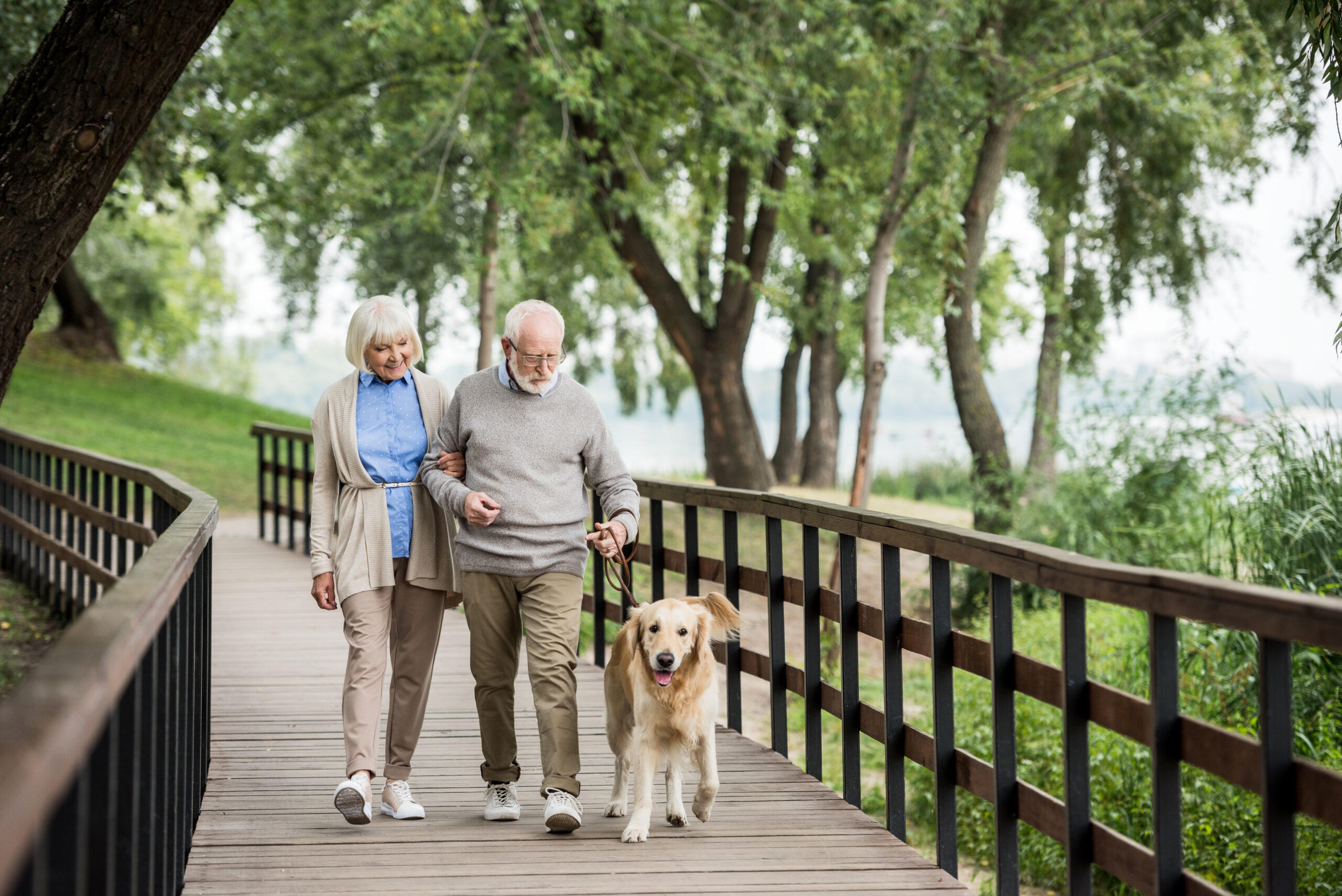 happy smiling couple walking with adorable dog in park